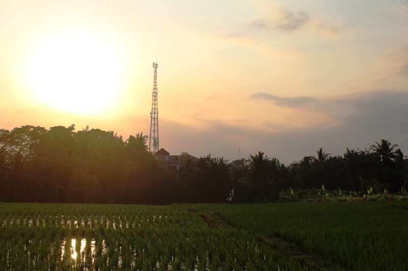 All Ricefield View Land for Sale near Canggu Breeze Inn - Buwit, Kediri Tabanan - Bali